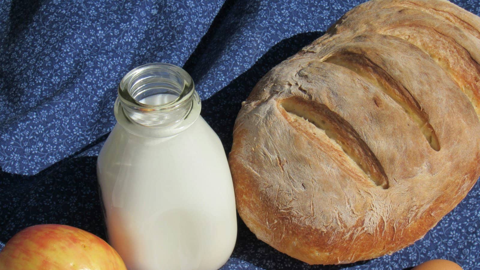 Intolerância à lactose ou ao glúten: como saber