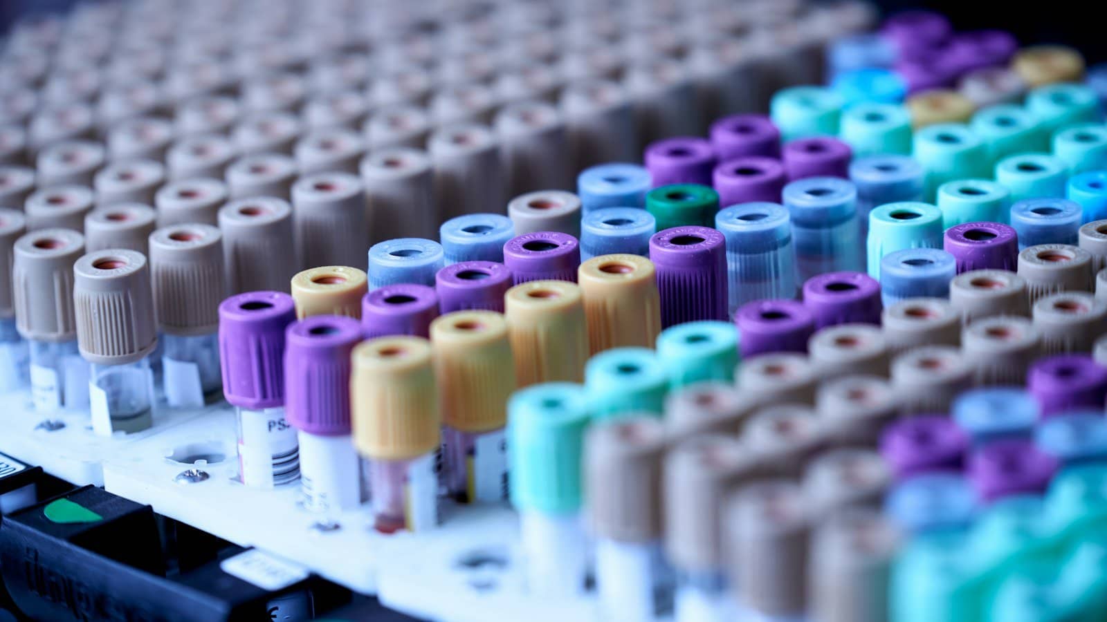 Check-up: quais exames fazer e com que frequência