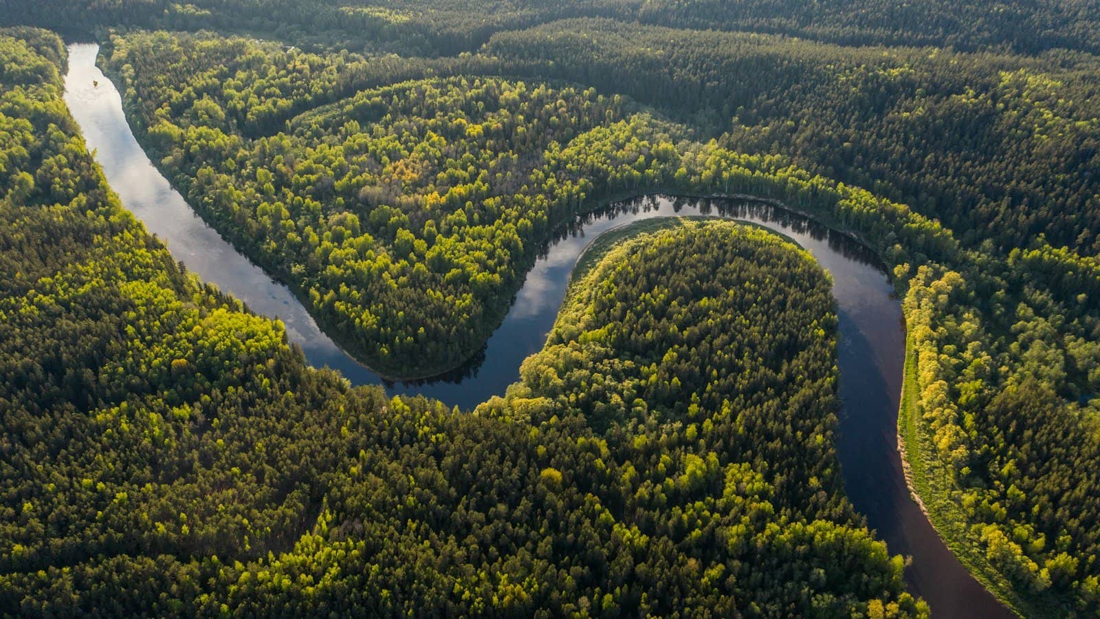 Viagem para a Amazônia: cuidados de saúde e vacinas