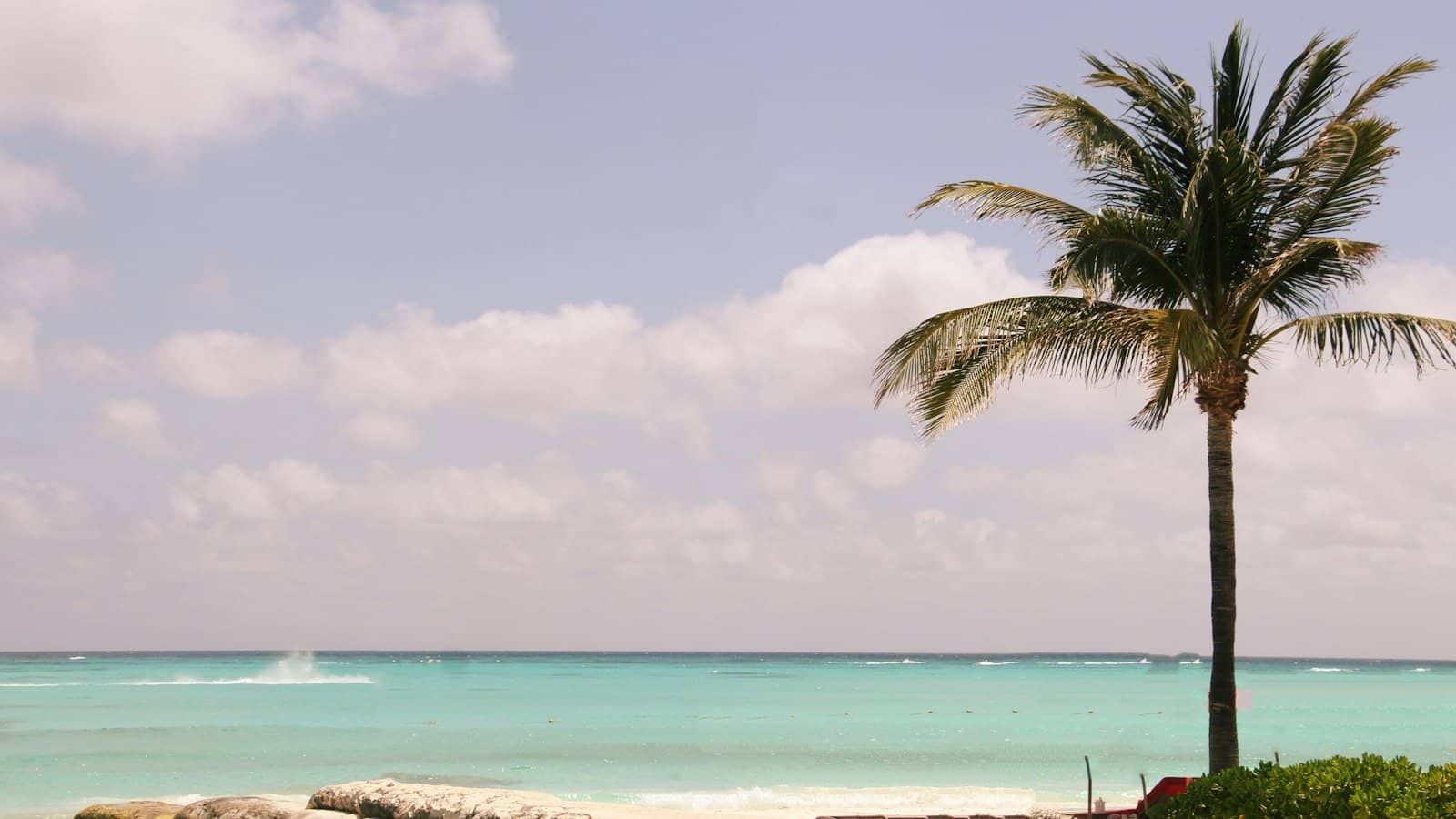Viagem a Cancún e Caribe: dengue, zika e cuidados