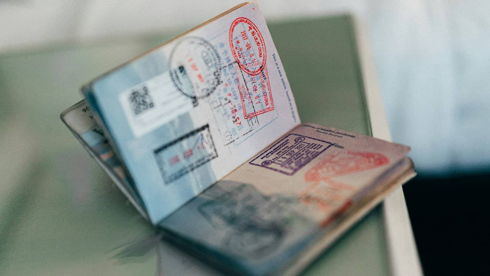 Pre-travel consultation in Brazil: travel medicine guide